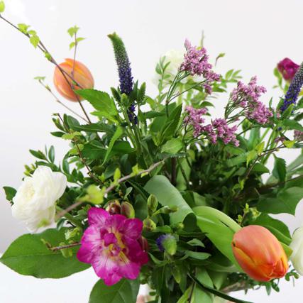 Ranunkel Freesie Tulpe Veronika Limonium