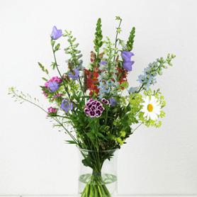 Glockenblume Mageritte Spraynelke Löwenmaul