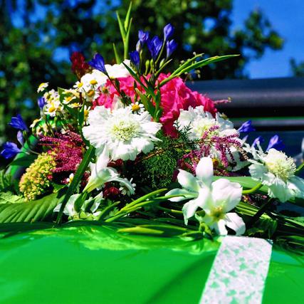 Scabiose Hortensie Brodea Sedum