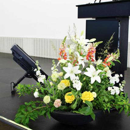 Rose Lilie Löwenmaul Levkoje