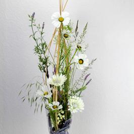 Cosmea Lavendel Gräser