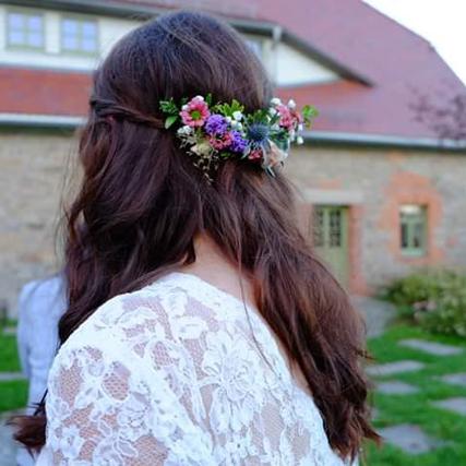Distel Chrysantheme Lisianthus