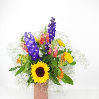 Rittersporn Löwenmaul Sonnenblume Seidenblume