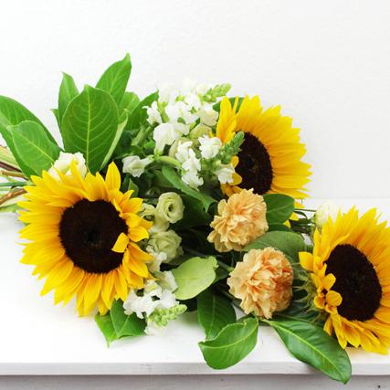 Sonnenblume Löwenmaul Lisianthus Nelke