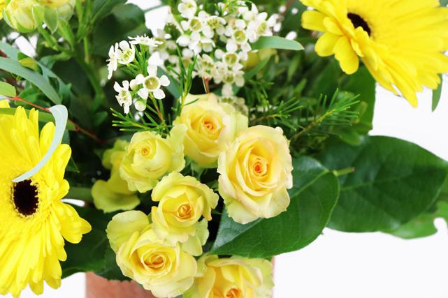 Gerbera Waxflower Sprayrose