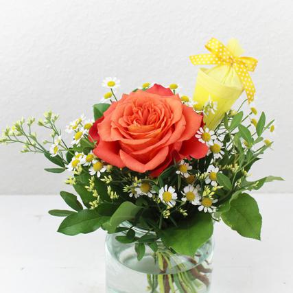 Rose Kamille Limonium