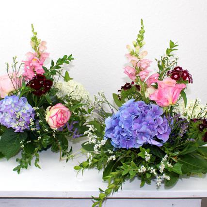 Löwenmaul Rose Bartnelke Limonium