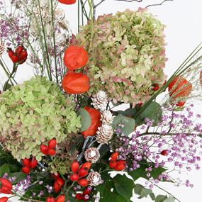 Physalis Hortensie Schleierkraut Hagebutte