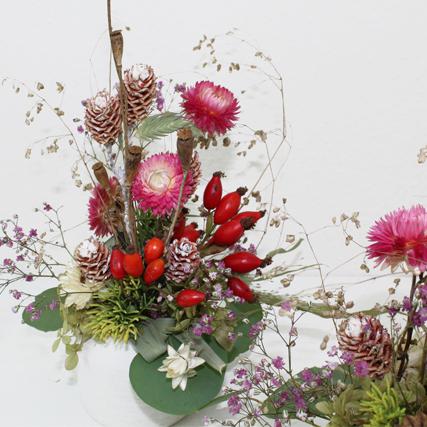 Strohblume Hagebutte Mohn Hortensie