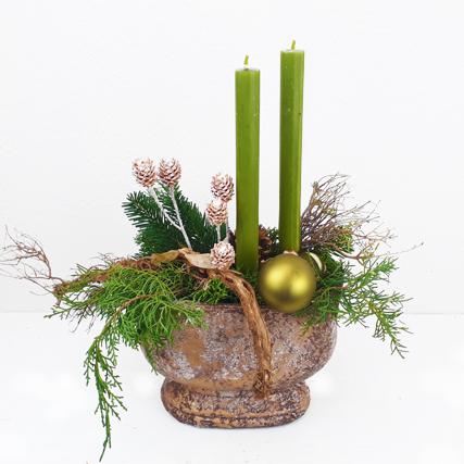 Euphorbie, Scheinzypresse, Nordmanntanne Salignum