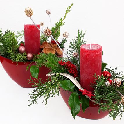 Salignum, Scheinzypresse, Landlotus, Mahonie