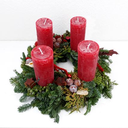 Rote Stumpen, Kugeln, Mondviolen, Nobilistanne, Scheinzypresse, Juniperus